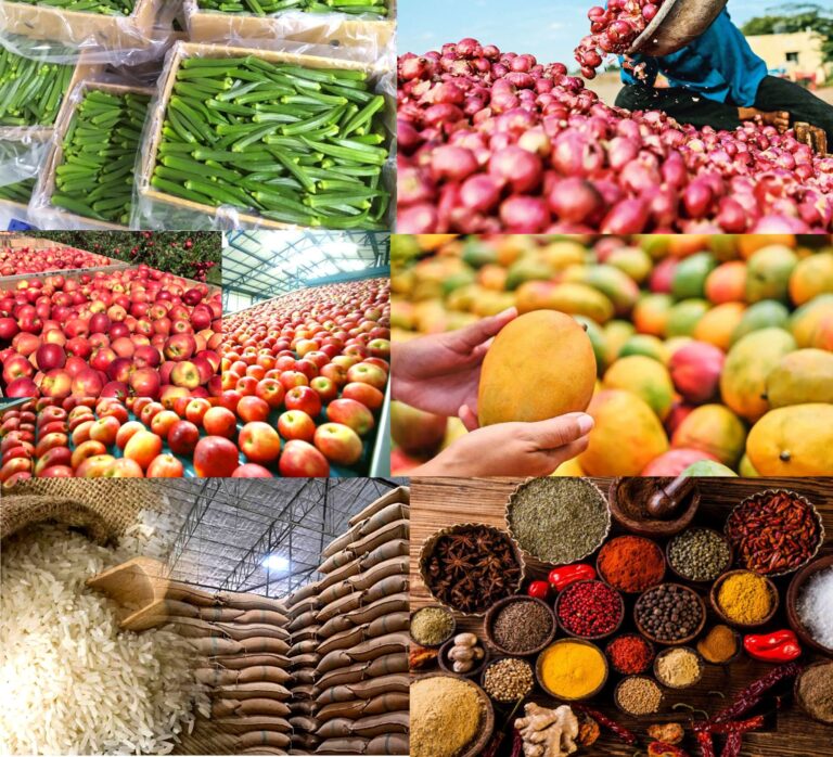 exports-veg-fruits-spice-rice-grains