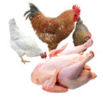 chicken frozen