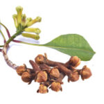 Cloves and Spices