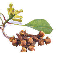 Cloves and Spices