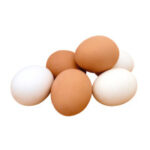 Eggs Organic