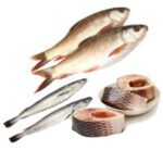 Fish rohu mackrel