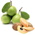 guava sapota