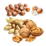 hazelnut fauxnut peanut walnut